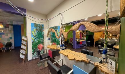 Vue Sur L'ill : Coiffeur à Strasbourg