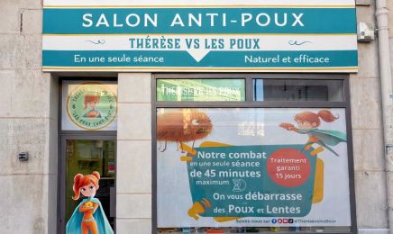 Therese vs les Poux Paris 12 (traitement anti-poux)  : Coiffeur à Paris
