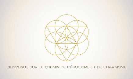 Institut Shu Xin : Institut de beauté à Marseille