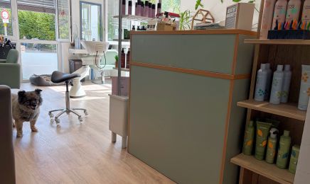 Julias Haarstube 2.0: Kosmetikstudio in Waldalgesheim