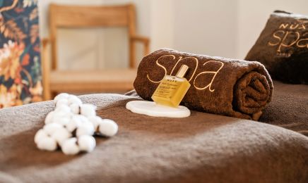 Spa Nuxe - Hôtel Villa Camille : Spa à Banyuls-sur-Mer