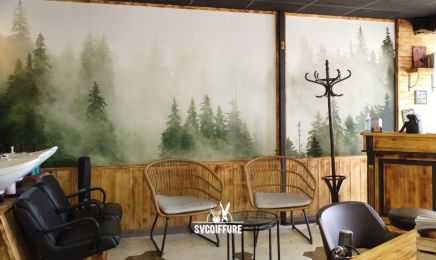 Sv Coiffure : Barbier à Les Angles