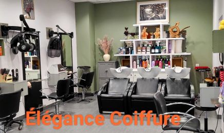 Elegance coiffure : Barbier à Bonny sur Loire 