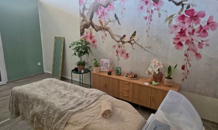 Dorothée et vous : Coiffeur à Sanvensa