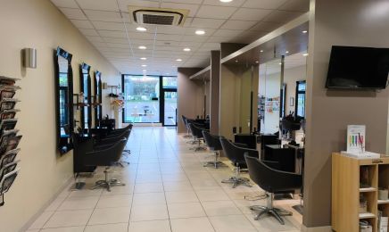YSÉAL - Auxerre Clairions : Coiffeur à Auxerre
