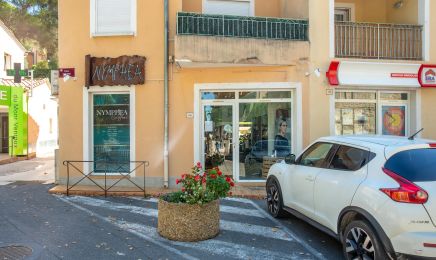 Nymphea : Coiffeur à Mazan