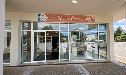 L'Art du Ciseau : Coiffeur à Brécé