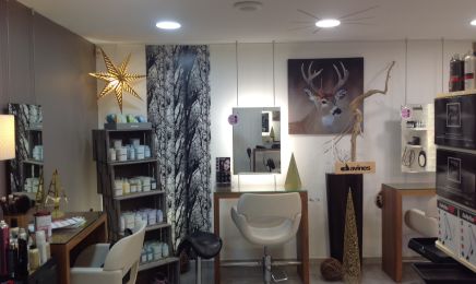Salon Massimo : Coiffeur à Léguevin