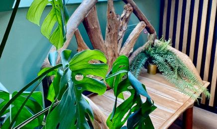 Amazonia : Institut de beauté à Thorigny-sur-Marne