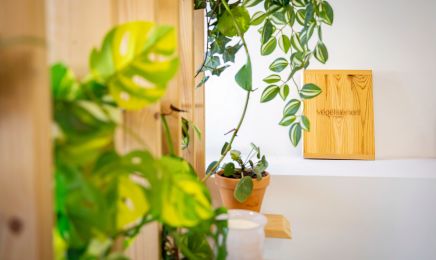 Le Concept Végétal - Carry-le-Rouet : Coiffeur à Carry-le-Rouet