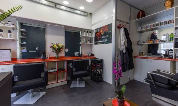 Lady Coiffure 