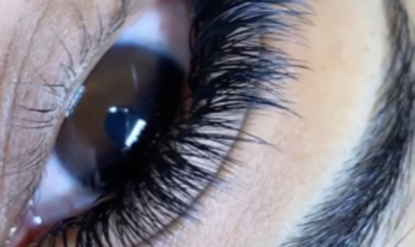 L'Art du Cil et du Regard