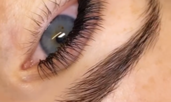 L'Art du Cil et du Regard
