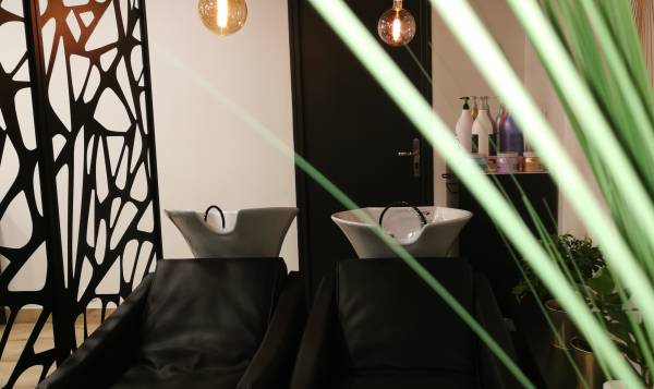 Style et Tendance