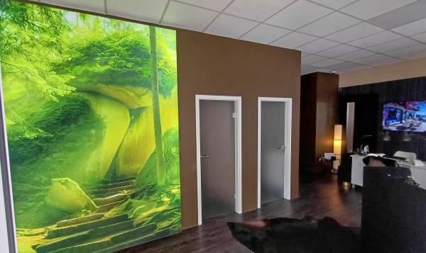 EM Beauty Haus der Orchidee