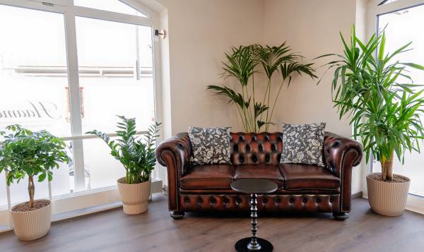 Haamore Inh. Vivien Di Girolamo Hierl e. K.