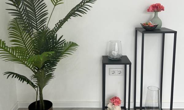 Rose Cosmetics Beauty Studio