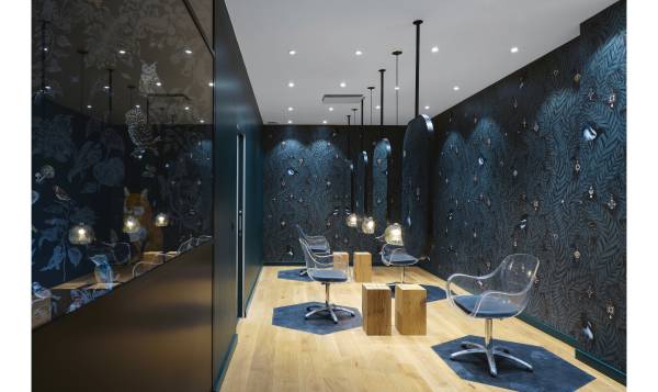 Louis Ludovic Coiffeur