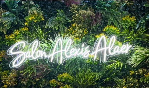 Alexis Alaer 