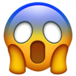 Photo d'un membre de l'équipe