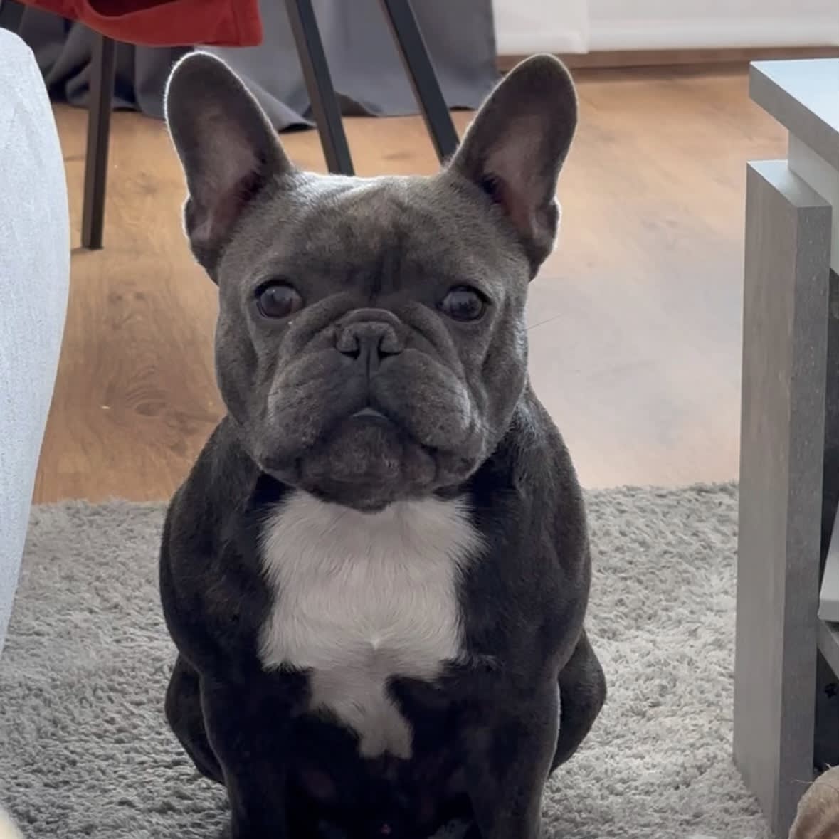 Photo d'un membre de l'équipe