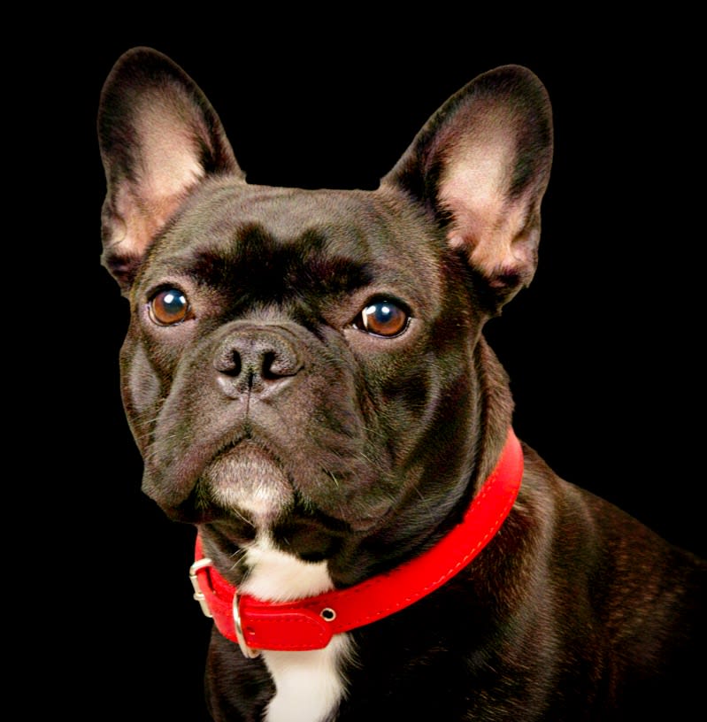 Photo d'un membre de l'équipe