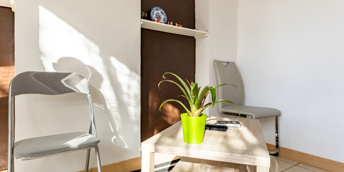 Tui Na Traditionnel Massage - Massage Châteauroux - Photo de couverture - OneBooking