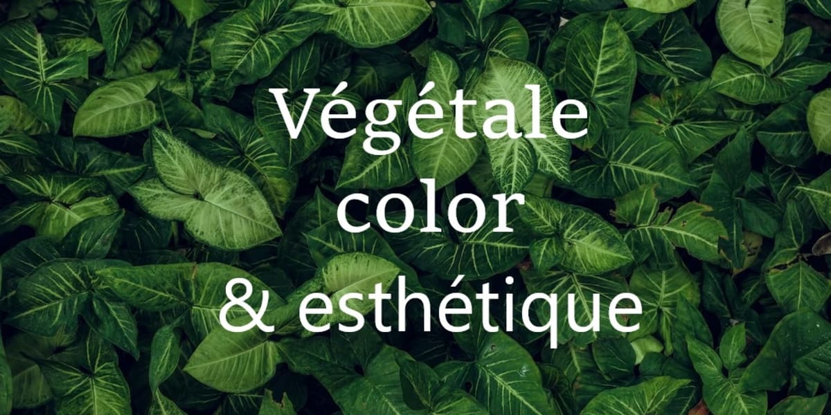 Végétale Color et Esthétique - Sourcils & cils Niort - Photo de couverture - OneBooking