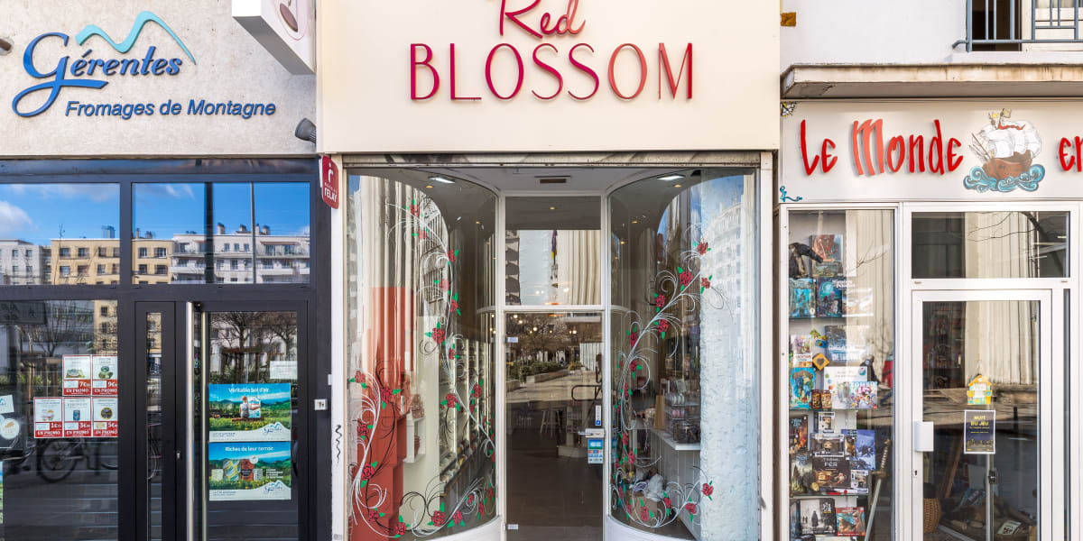 Red Blossom Concept Store - Coiffure Villeurbanne - Photo de couverture - OneBooking