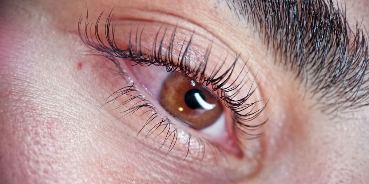 Maï.signature - Sourcils & cils Vannes - Photo de couverture - OneBooking