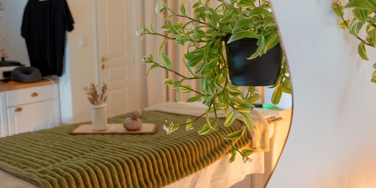 Alma Aura - Massage Vichy - Photo de couverture - OneBooking
