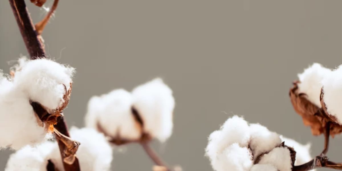 Au nuage de coton - Jeanne Gaillard - Massage bien-être - Spa Lyon - Photo de couverture - OneBooking