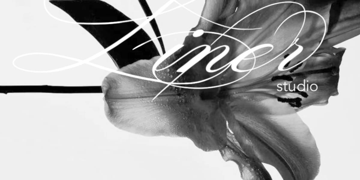 Liner Studio - Institut de beauté Toulon - Photo de couverture - OneBooking