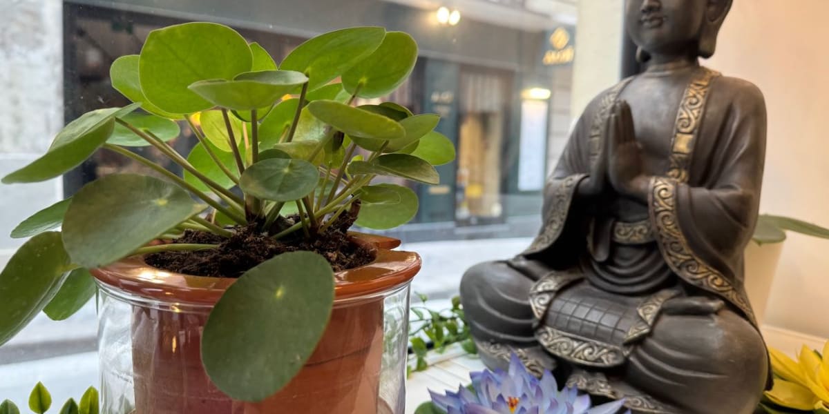 Tui Na SPA - Spa Paris - Photo de couverture - OneBooking