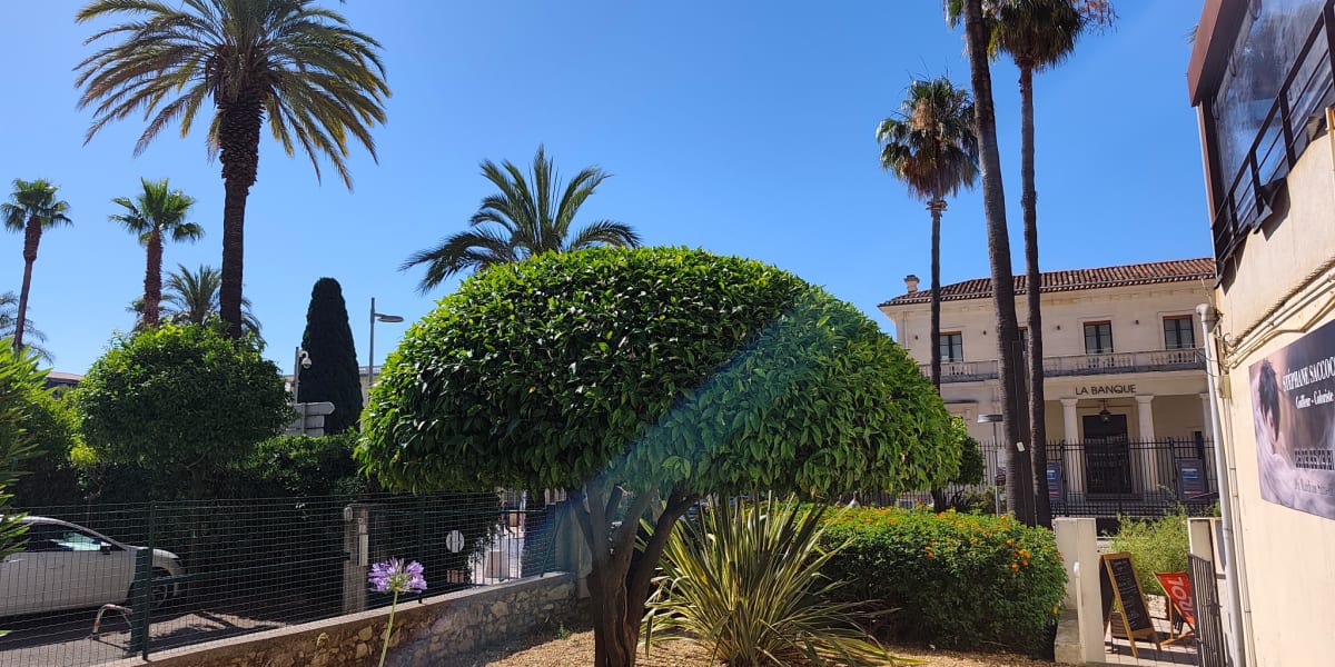 Stéphane Saccoccio - Coiffure Hyères - Photo de couverture - OneBooking