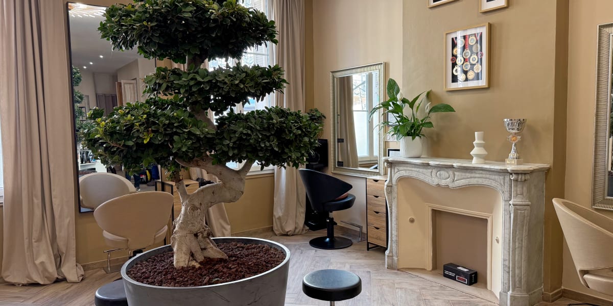 Peerless Coiffure - Coiffure Toulon - Photo de couverture - OneBooking