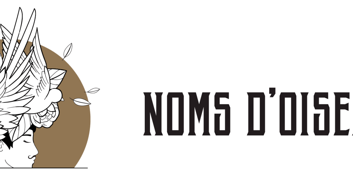 Noms d’oiseaux - Coiffure Nantes - Photo de couverture - OneBooking