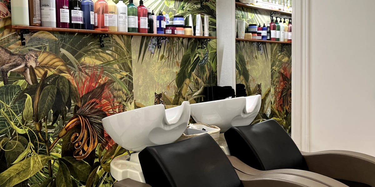 O' Alizés - Coiffure Meudon - Photo de couverture - OneBooking