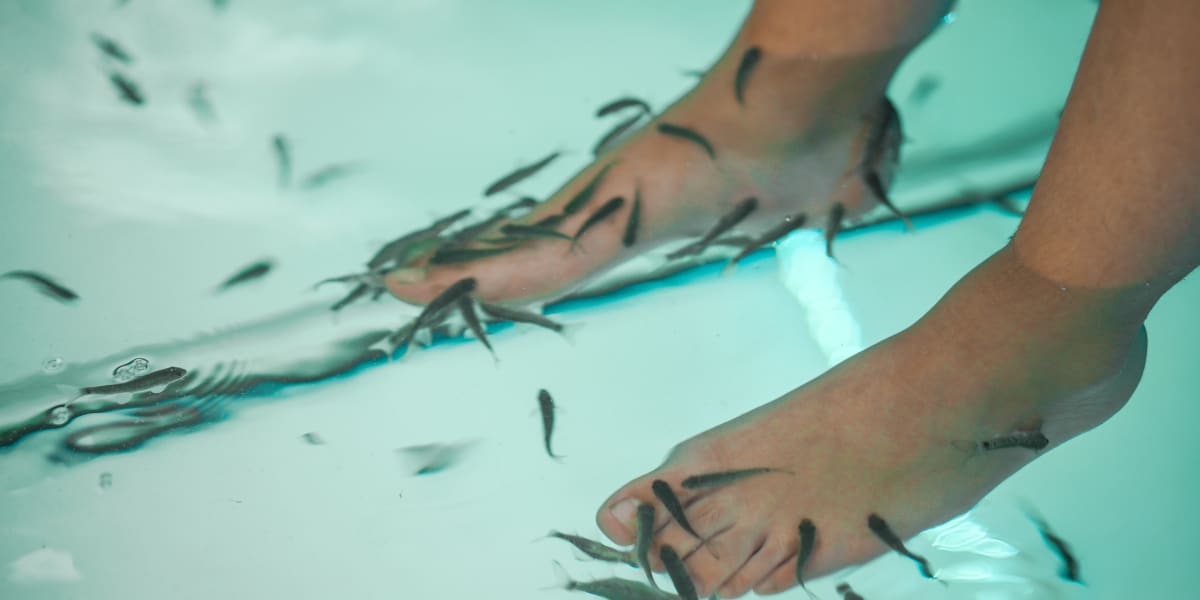 Fish Spa international - Onglerie Angers - Photo de couverture - OneBooking