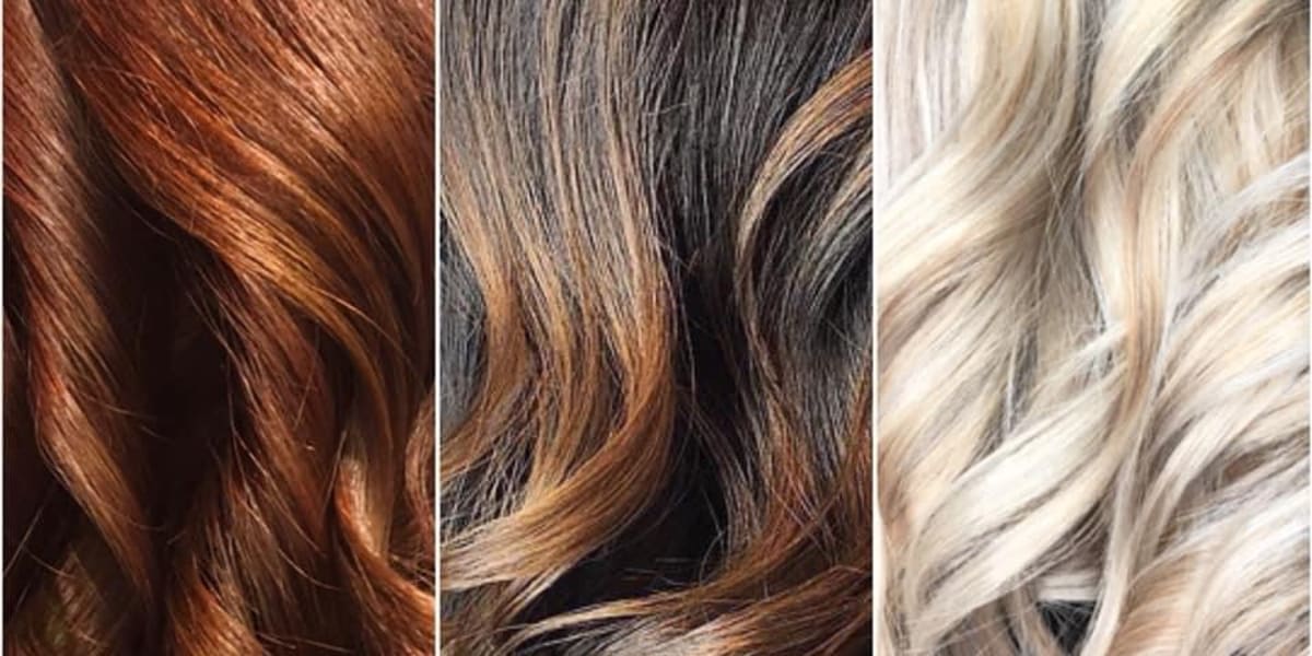 Création M - Coiffure Le Cannet - Photo de couverture - OneBooking