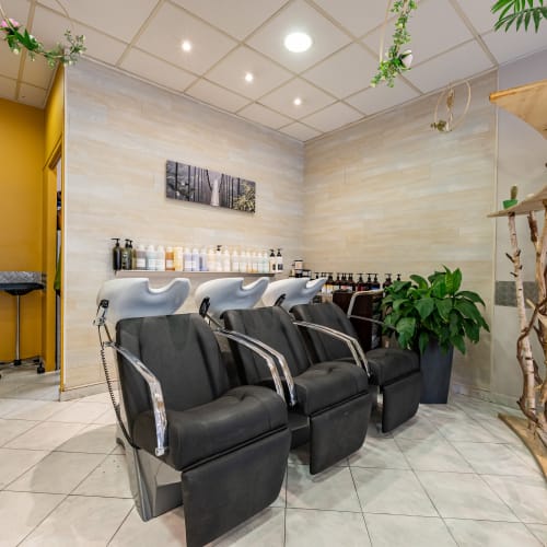 Esteban Coiffure - Coiffure Le Golfe Juan - Esteban Coiffure - Photo Galerie - OneBooking