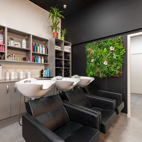 KM coiffure - L'instant bien être - Coiffure Montpellier - KM coiffure - L'instant bien être - Photo Galerie - OneBooking