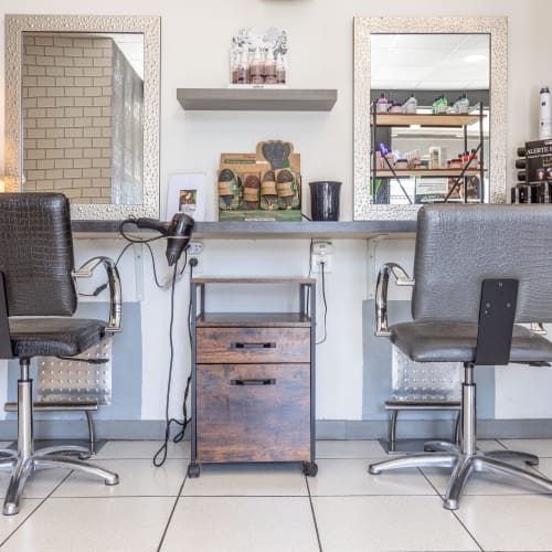 Thierry Laine Coiffure - Coiffure Toulouse - Thierry Laine Coiffure - Photo Galerie - OneBooking