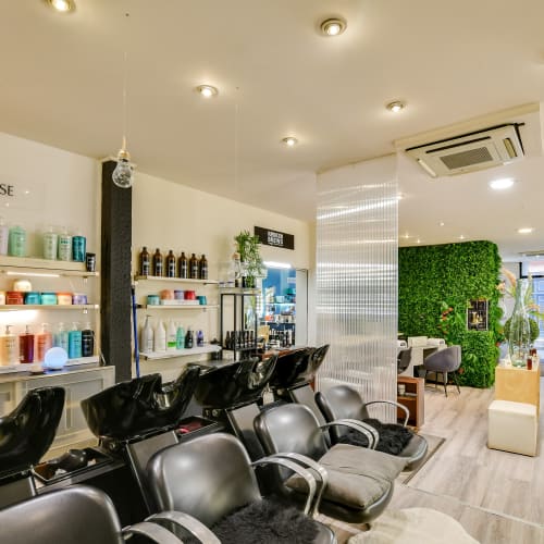 L'Institut de Coiffure - Coiffure Toulouse - L'Institut de Coiffure - Photo Galerie - OneBooking