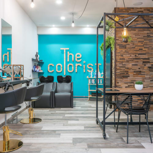 The Colorist - Coiffure Alès - The Colorist - Photo Galerie - OneBooking