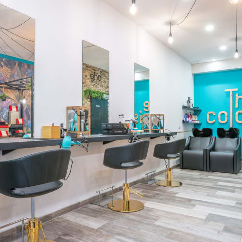The Colorist - Coiffure Alès - The Colorist - Photo Galerie - OneBooking