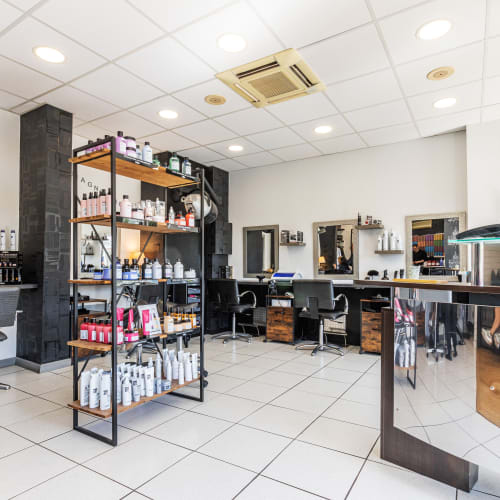 Thierry Laine Coiffure - Coiffure Toulouse - Thierry Laine Coiffure - Photo Galerie - OneBooking