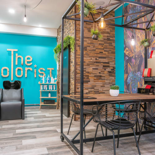 The Colorist - Coiffure Alès - The Colorist - Photo Galerie - OneBooking