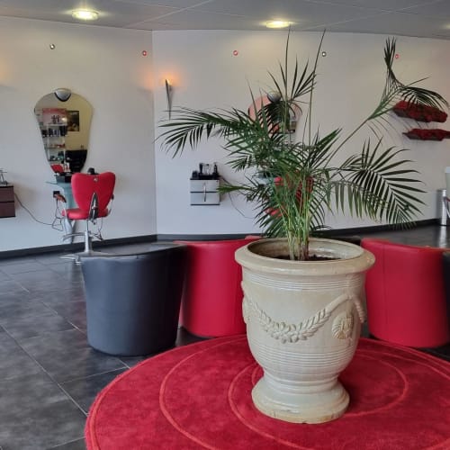 Evasion coiffure - Coiffure Saint-Flour - Evasion coiffure - Photo Galerie - OneBooking