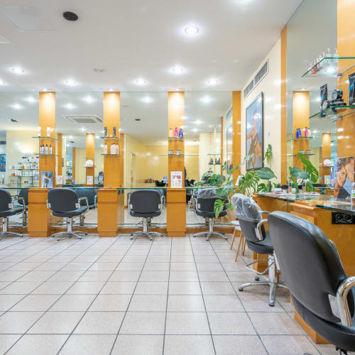 Camille Albane - Arras - Coiffure Arras - Camille Albane - Arras - Photo Galerie - OneBooking